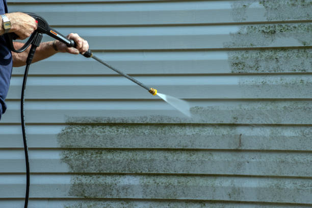 Best House Exterior Washing  in East St Louis, IL